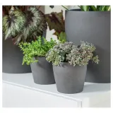 IKEA PERSILLADE (ИКЕА ПЕРСИЛЛАДЕ) — Кашпо, темно-серая, 12 см — фото 2