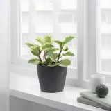 IKEA PERSILLADE (ИКЕА ПЕРСИЛЛАДЕ) — Кашпо, темно-серая, 12 см — фото 4