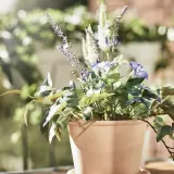 IKEA MUSKOTBLOMMA (ИКЕА МУСКОТБЛОММА) — Цветочный горшок с блюдцем, терракота для помещений/открытого грунта, 12 см — фото 6