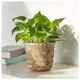 IKEA KLYNNON (ИКЕА КЛЙННОН) — Подставка для посуды, бамбук ручной работы, 15 см — фото 4