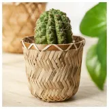 IKEA KLYNNON (ИКЕА КЛЙННОН) — Подставка для посуды, бамбук ручной работы, 9 см — фото 2