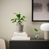IKEA KLOTLÖNN (ИКЕА КЛОТЛОНН) — Цветочный горшок с основанием, закрытый/открытый/серо-бежевый, 12 см — фото 2