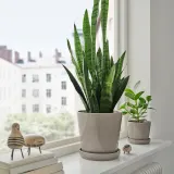 IKEA KLOTLÖNN (ИКЕА КЛОТЛОНН) — Цветочный горшок с блюдцем, закрытый/открытый/серо-бежевый, 19 см — фото 2
