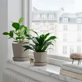 IKEA KLOTLÖNN (ИКЕА КЛОТЛОНН) — Цветочный горшок с блюдцем, закрытый/открытый/серо-бежевый, 9 см — фото 2