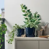 IKEA KLOTLÖNN (ИКЕА КЛОТЛОНН) — Цветочный горшок с блюдцем, закрытый/открытый/черный, 15 см — фото 2