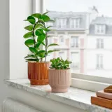 IKEA HONUNGSPALM (ИКЕА ХОНУНГСПАЛМ) — Кашпо, крытая/открытая/бежевая, 9 см — фото 2