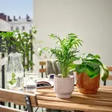 IKEA HONUNGSPALM (ИКЕА ХОНУНГСПАЛМ) — Кашпо, крытая/открытая/бежевая, 9 см — фото 3