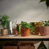 IKEA HONUNGSPALM (ИКЕА ХОНУНГСПАЛМ) — Кашпо, крытая/открытая/бежевая, 9 см — фото 5
