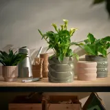 IKEA HASSELBUKETT (ИКЕА ХАССЕЛБУКЕТТ) — Крышка для цветочного горшка, закрытая/открытая/зеленая/коричневая, 15 см — фото 2