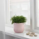 IKEA GRADVIS (ИКЕА ГРАДВИС) — Кашпо, розовая, 12 см — фото 4