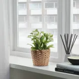 IKEA FRIDFULL (ИКЕА ФРИДФУЛЛ) — Крышка для горшка, Водяной гиацинт, 12 см — фото 4