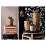 IKEA FRIDFULL (ИКЕА ФРИДФУЛЛ) — Крышка для горшка, Водяной гиацинт, 12 см — фото 5