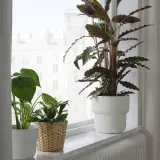 IKEA FÖRENLIG (ИКЕА ФОРЕНЛИГ) — Крышка для цветочного горшка, внутренняя/наружная белая, 19 см — фото 3