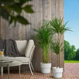 IKEA FÖRENLIG (ИКЕА ФОРЕНЛИГ) — Крышка для цветочного горшка, внутренняя/наружная белая, 19 см — фото 4