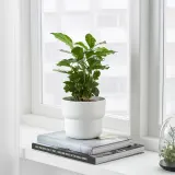 IKEA FÖRENLIG (ИКЕА ФОРЕНЛИГ) — Крышка для цветочного горшка, внутренняя/наружная белая, 12 см — фото 4