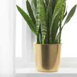 IKEA DAIDAI (ИКЕА ДАИДАИ) — Поддон для посуды из латуни, цвет латуни, 19 см — фото 3