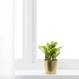 IKEA DAIDAI (ИКЕА ДАИДАИ) — Подставка для посуды, цвет латуни, 9 см — фото 6