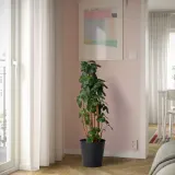 IKEA CITRONMELISS (ИКЕА СИТРОНМЕЛИСС) — Противень, внутренний/наружный/антрацитовый, 24 см — фото 2