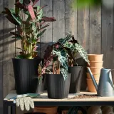 IKEA CITRONMELISS (ИКЕА СИТРОНМЕЛИСС) — Подставка для посуды, внутренняя/наружная/антрацит, 19 см — фото 2