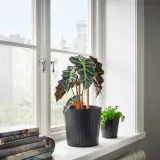 IKEA CITRONMELISS (ИКЕА СИТРОНМЕЛИСС) — Подставка для посуды, внутренняя/наружная/антрацит, 19 см — фото 3