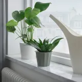IKEA BUSKVERK (ИКЕА БУСКВЕРК) — Крышка для цветочного горшка, серая, 9 см — фото 2