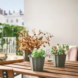 IKEA BUSKVERK (ИКЕА БУСКВЕРК) — Крышка для цветочного горшка, серая, 9 см — фото 3