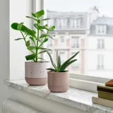 IKEA BUSKKAPRIFOL (ИКЕА БУСККАПРИФОЛ) — Крышка для цветочного горшка, закрытая/открытая/серая, 9 см — фото 2