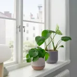 IKEA BUSKKAPRIFOL (ИКЕА БУСККАПРИФОЛ) — Кашпо, крытая/открытая/бежевая, 12 см — фото 2