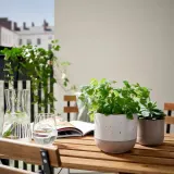 IKEA BUSKKAPRIFOL (ИКЕА БУСККАПРИФОЛ) — Кашпо, крытая/открытая/бежевая, 12 см — фото 3