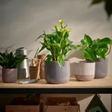 IKEA BUSKKAPRIFOL (ИКЕА БУСККАПРИФОЛ) — Кашпо, крытая/открытая/бежевая, 12 см — фото 4