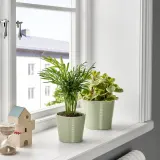 IKEA BROKSPIREA (ИКЕА БРОКСПИРЕА) — Кашпо, светло-зеленая, 9 см — фото 3