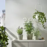 IKEA BROKSPIREA (ИКЕА БРОКСПИРЕА) — Кашпо, светло-зеленая, 12 см — фото 2