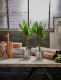 IKEA BINTJE (ИКЕА БИНТЙЕ) — Противень, оцинкованный, 9 см — фото 2
