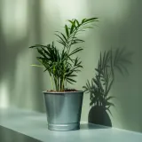IKEA BINTJE (ИКЕА БИНТЙЕ) — Противень, оцинкованный, 9 см — фото 4
