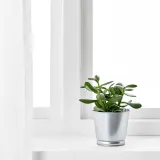 IKEA BINTJE (ИКЕА БИНТЙЕ) — Противень, оцинкованный, 9 см — фото 8