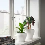 IKEA AMBRARÖNN (ИКЕА АМБРАРОНН) — Крышка для цветочного горшка, закрытая/открытая/белая, 15 см — фото 2