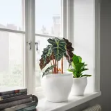 IKEA AMBRARÖNN (ИКЕА АМБРАРОНН) — Крышка для цветочного горшка, закрытая/открытая/белая, 19 см — фото 2