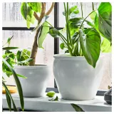 IKEA AMBRARÖNN (ИКЕА АМБРАРОНН) — Крышка для цветочного горшка, закрытая/открытая/белая, 19 см — фото 3