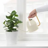 IKEA VATTENKRASSE (ИКЕА ВАТТЕНКРАССЕ) — Лейка, цвет слоновой кости/золота, 0,9 л — фото 2