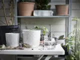 IKEA SESAMFRÖN (ИКЕА СЕСАМФРОН) — Бутылка с распылителем, прозрачное стекло, 25 мл — фото 2