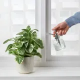 IKEA SESAMFRÖN (ИКЕА СЕСАМФРОН) — Бутылка с распылителем, прозрачное стекло, 25 мл — фото 4