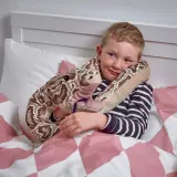 IKEA DJUNGELSKOG (ИКЕА ДЙУНГЕЛСКОГ) — Кукла, бирманская змея/питон — фото 5