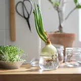 IKEA KORKEN (ИКЕА КОРКЕН) — Банка с крышкой, прозрачное стекло, 0,5 л — фото 5