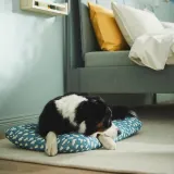 IKEA UTSÅDD (ИКЕА УТСОДД) — Подушка для животных, голубая, 48x75 см — фото 2