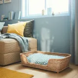 IKEA UTSÅDD (ИКЕА УТСОДД) — Подушка для животных, голубая, 48x75 см — фото 3