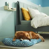 IKEA UTSÅDD (ИКЕА УТСОДД) — Подушка для животных, голубая, 64x102 см — фото 2
