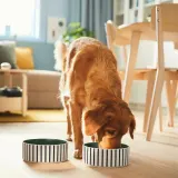 IKEA UTSÅDD (ИКЕА УТСОДД) — Миска для животных, полосатый узор, черно-синий/серо-зеленый, 19 см — фото 5