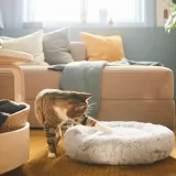 IKEA UTSÅDD (ИКЕА УТСОДД) — Логово, светло-серый, S — фото 2