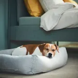 IKEA UTSÅDD (ИКЕА УТСОДД) — Подстилка для собак, светло-серый, M — фото 2