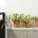 IKEA BRUNBÄR (ИКЕА БРУНБЭР) — Цветочный горшок с блюдцем, открытый терракот, 12 см — фото 2